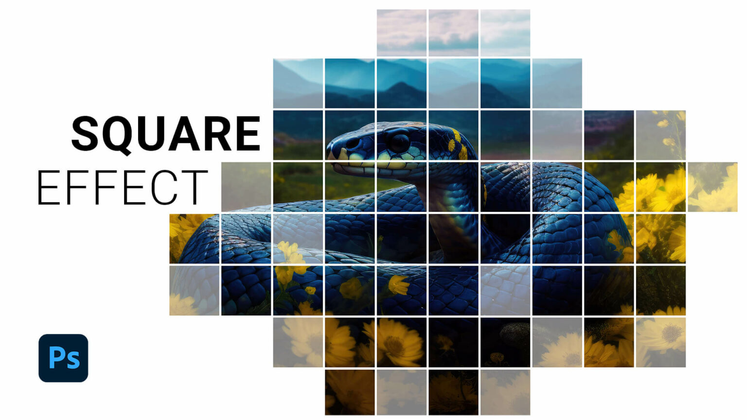 How to Create Square Mosaic Collage Photo Effect in Mypstips